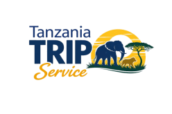 Tanzania Trip Service Logo